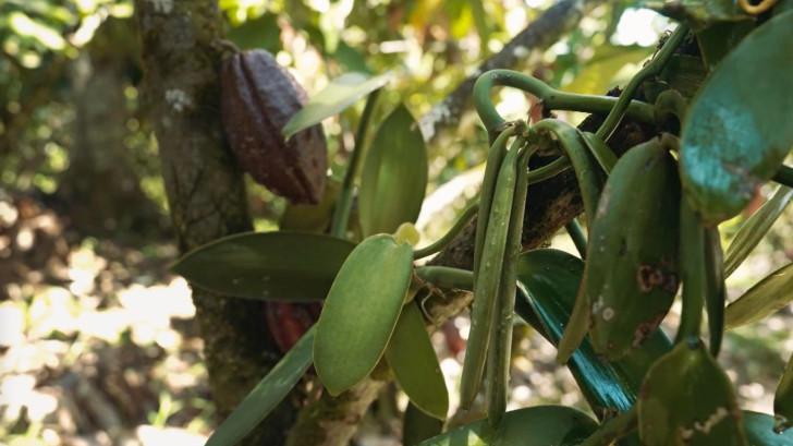 Un documentaire de Céline Desteve